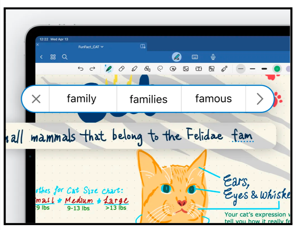 Personalize Notebooks